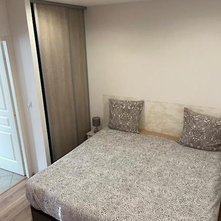 Appartement Oasis Proche De Lyon Groupama Lcdl Мезье Экстерьер фото