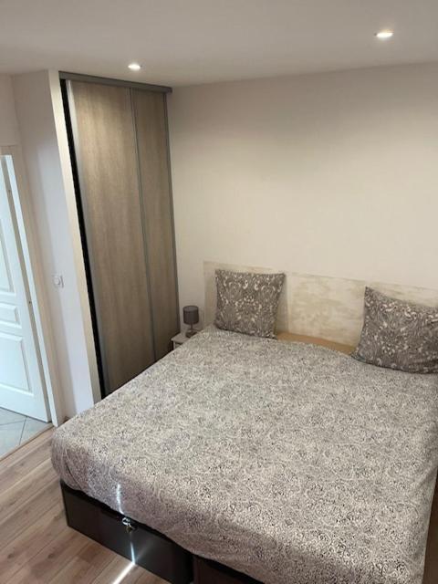 Appartement Oasis Proche De Lyon Groupama Lcdl Мезье Экстерьер фото